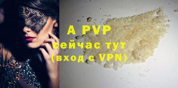 СК Бронницы