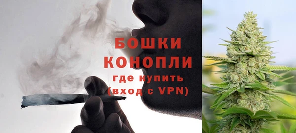 СК Бронницы