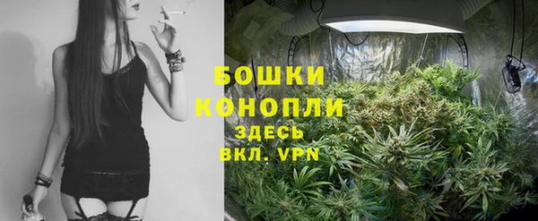 СК Бронницы